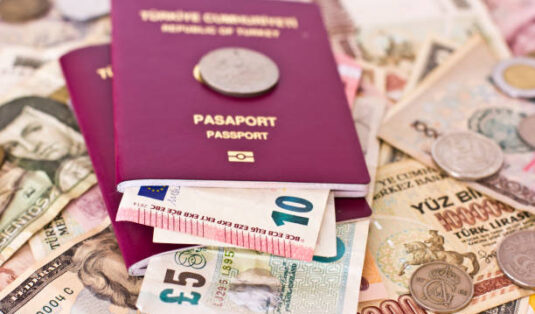 Foreign passports and money from the countries